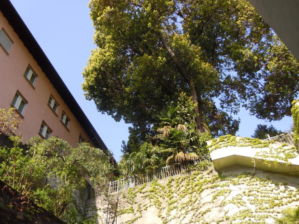 Swiss Nassa Garni Lodge