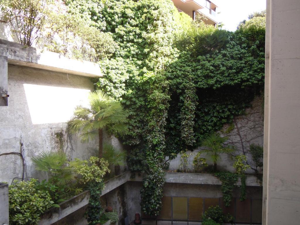 Swiss Nassa Garni *