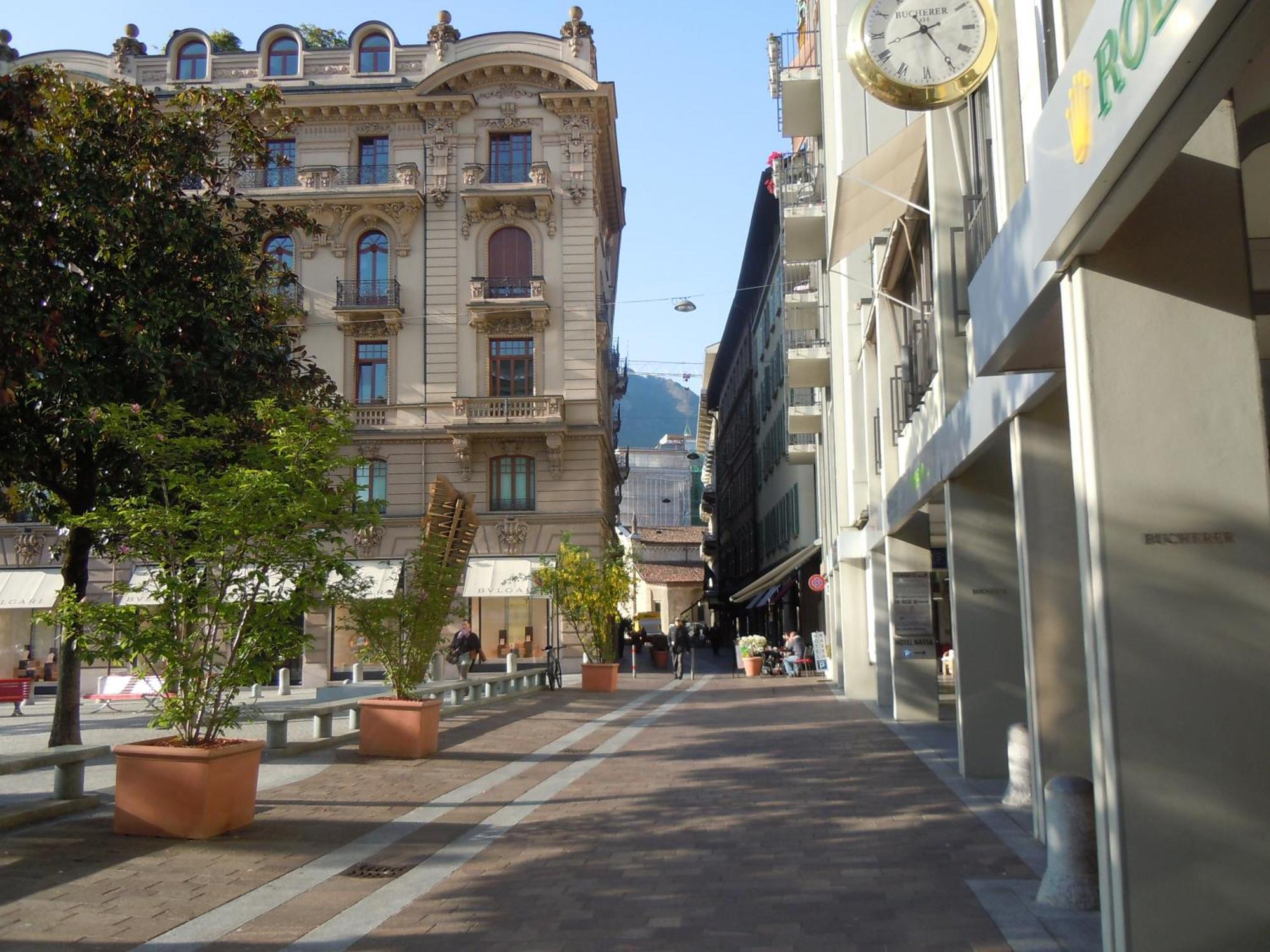 Swiss Nassa Garni